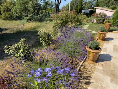 gardenflowers_smal_I_on_2024.jpg