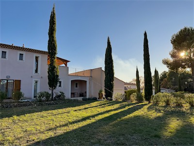cypress_trees_gallery_2025_019.jpg