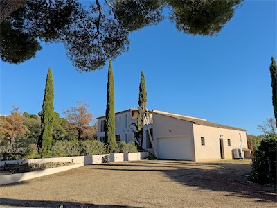cypress_trees_gallery_2025_028.jpg