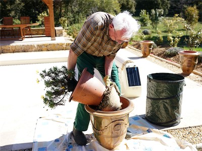 delosperma_gallery_2025_004.jpg