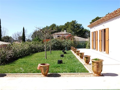 delosperma_gallery_2025_005.jpg