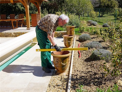 delosperma_gallery_2025_007.jpg