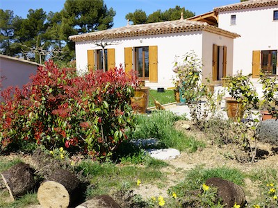 delosperma_gallery_2025_008.jpg