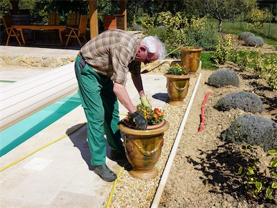 delosperma_gallery_2025_010.jpg