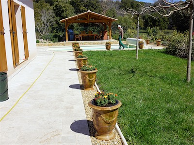 delosperma_gallery_2025_011.jpg