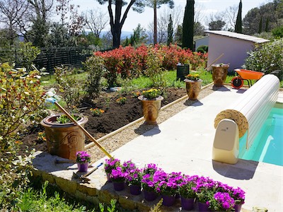 delosperma_gallery_2025_016.jpg