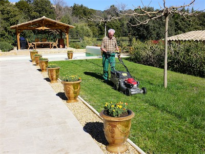 delosperma_gallery_2025_023.jpg