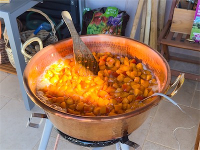 apricot_jam_gallery_2025_004.jpg