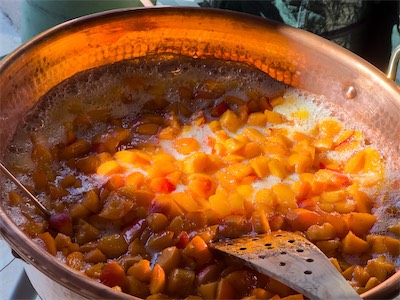apricot_jam_gallery_2025_007.jpg