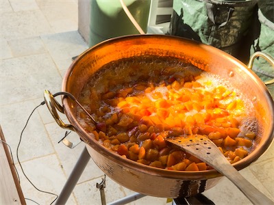 apricot_jam_gallery_2025_010.jpg