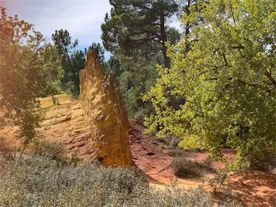 colorado_provençal_gallery_2025_009.jpg