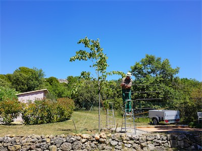 Construction of the Wrought-Iron Pavilion