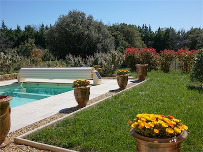 Delosperma Orange Wonder ® and Photinia xfraseri "Red Robin"