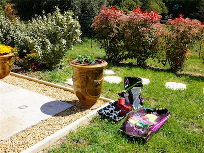 The three larger vases will now be planted with the “Dipladenia Rio” variety