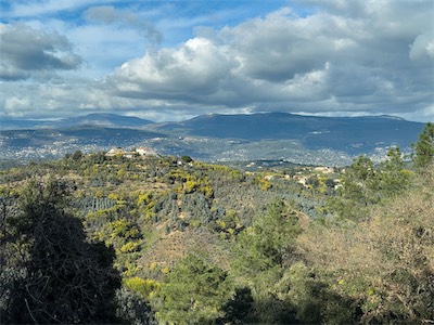 Tanneron,  Alpes-Maritimes