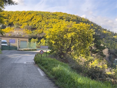 Tanneron,  Alpes-Maritimes